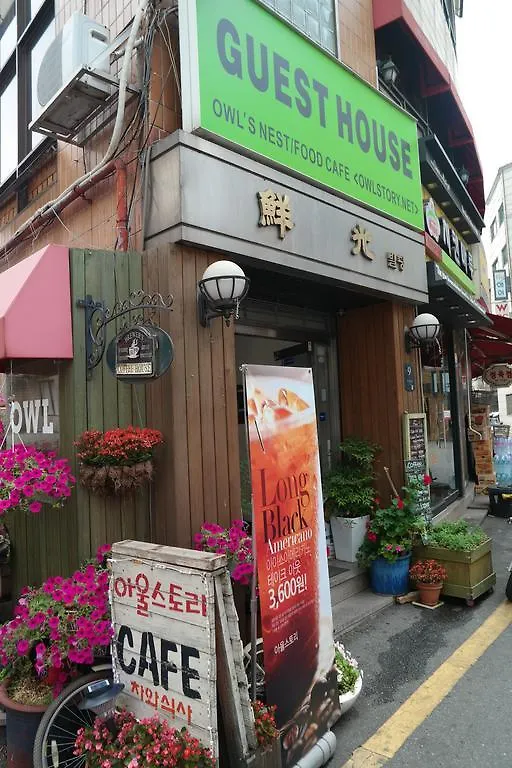 ** Guest house Owl'S Nest Guesthouse Seoul South Korea